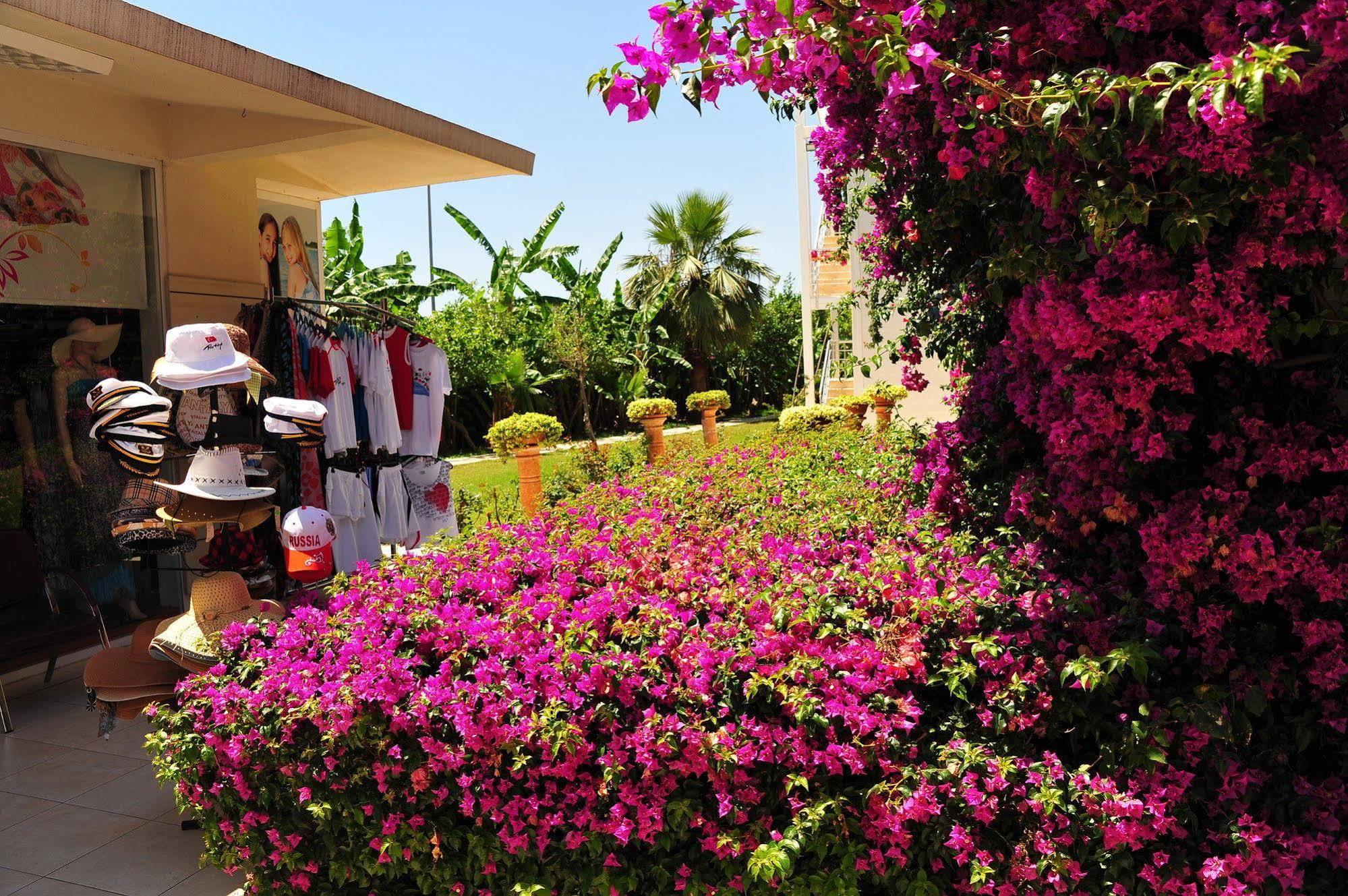 קמר Daima Resort Hotel מראה חיצוני תמונה